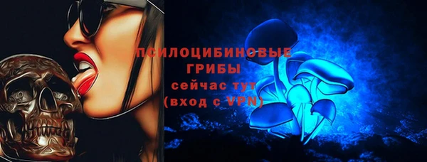 индика Армянск