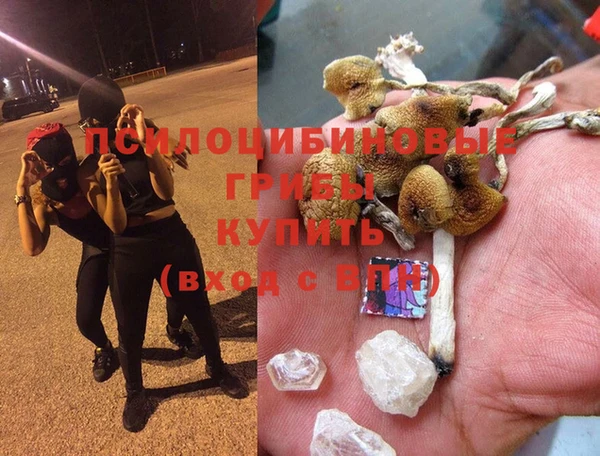 амф Арсеньев