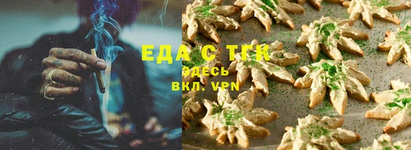 индика Армянск