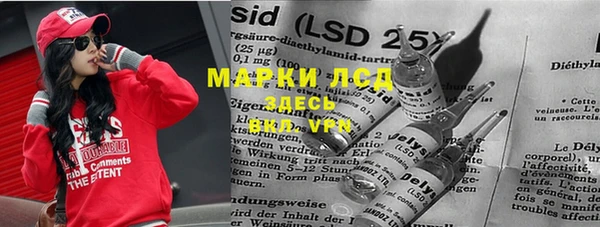 индика Армянск